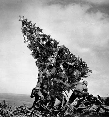 iwo jima tree.jpg