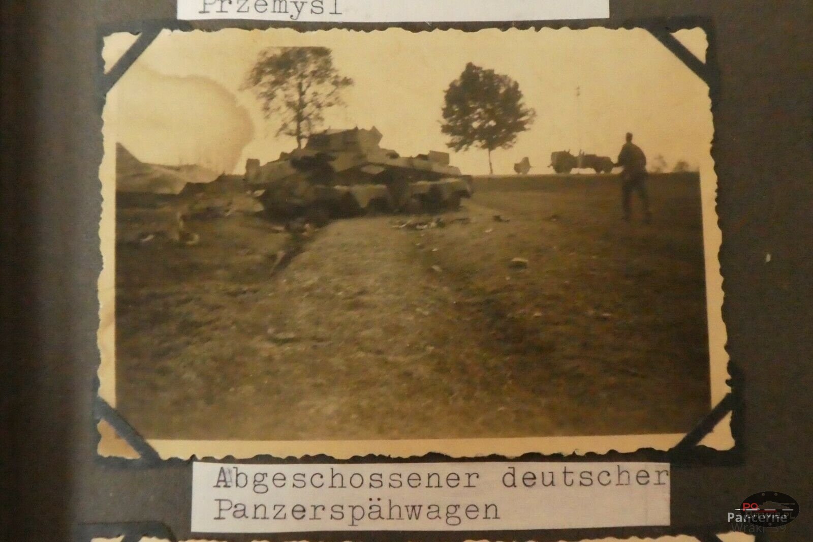 05.jpg