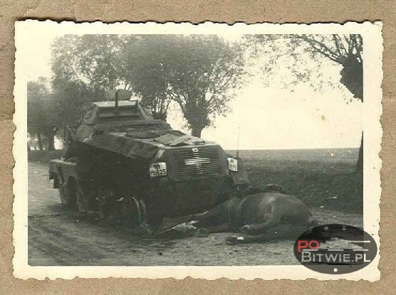 [PSW][#520]{006}{a} s.Pz.Sp.Wg Sd.Kfz.231 (8 Rad), Aufkl.Abt.(mot.).20, WH-151625, droga Zambrów - Czyżew, środek drogi, truchło konia.jpg